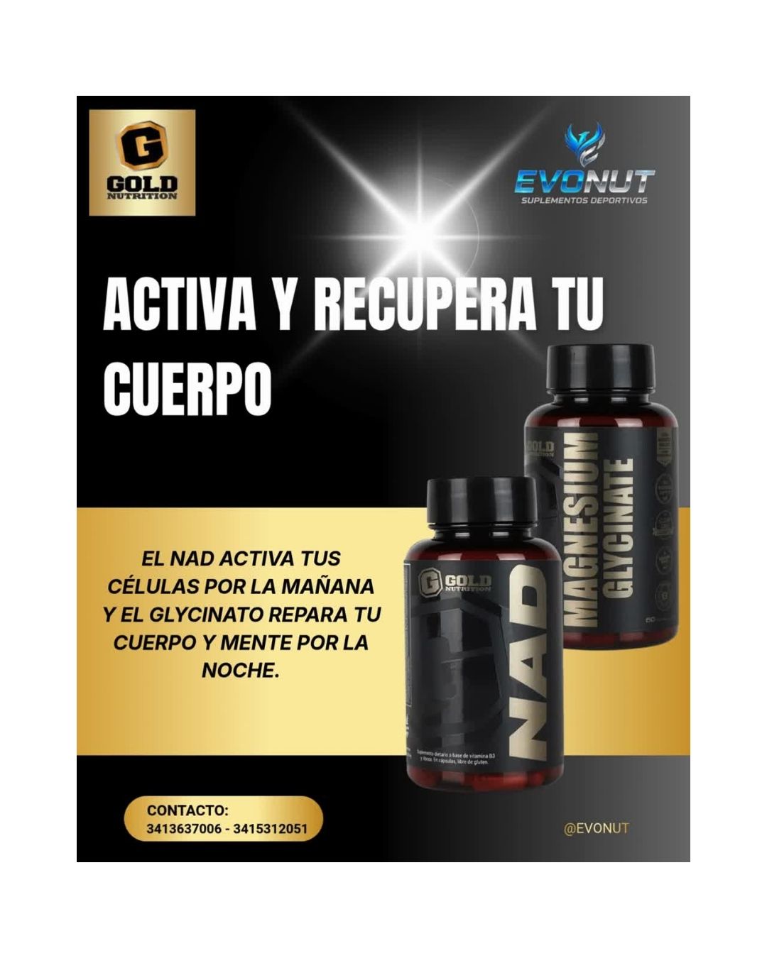 Gold Nutricion 6