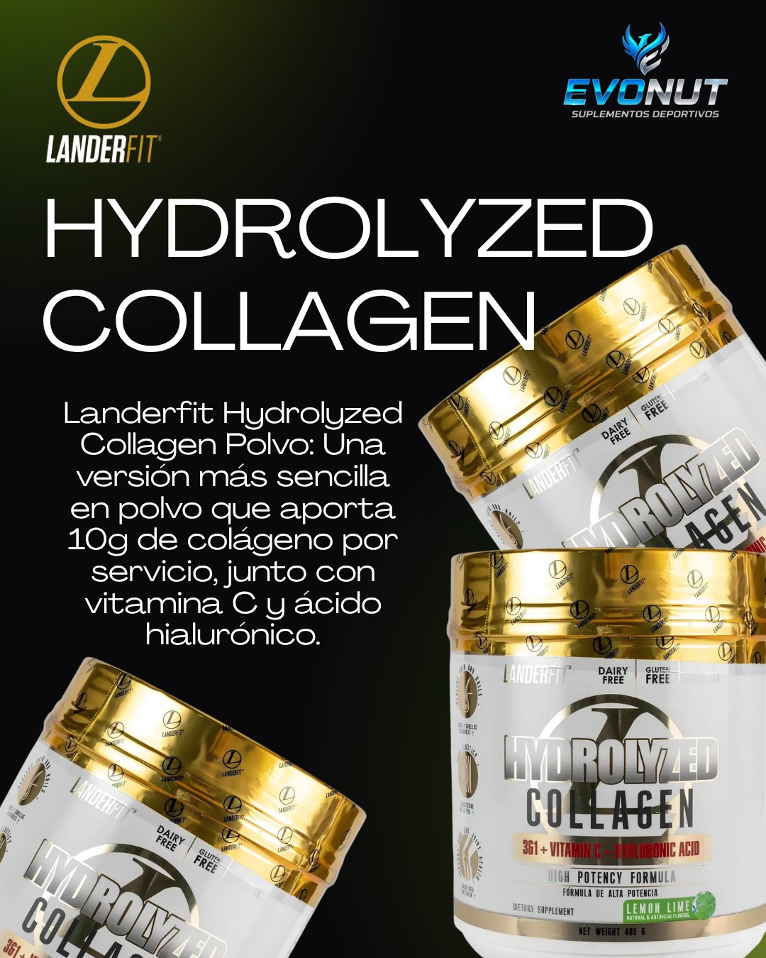 Landerfit 1