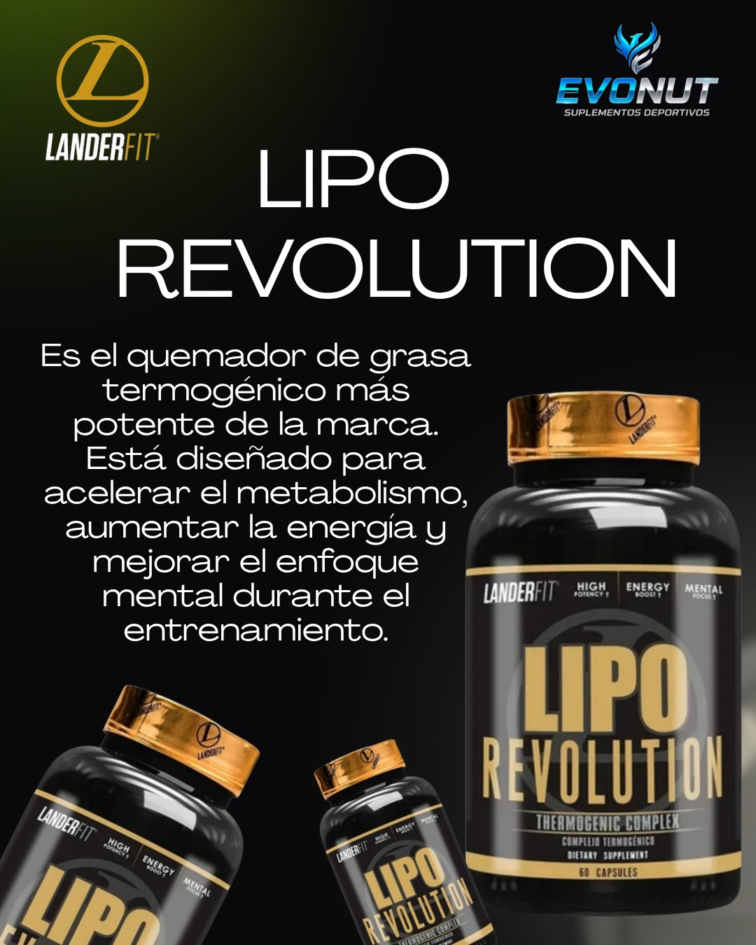 Landerfit 2