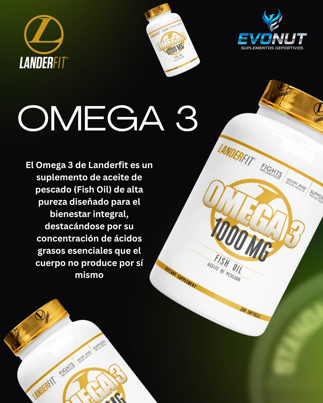 Landerfit 4