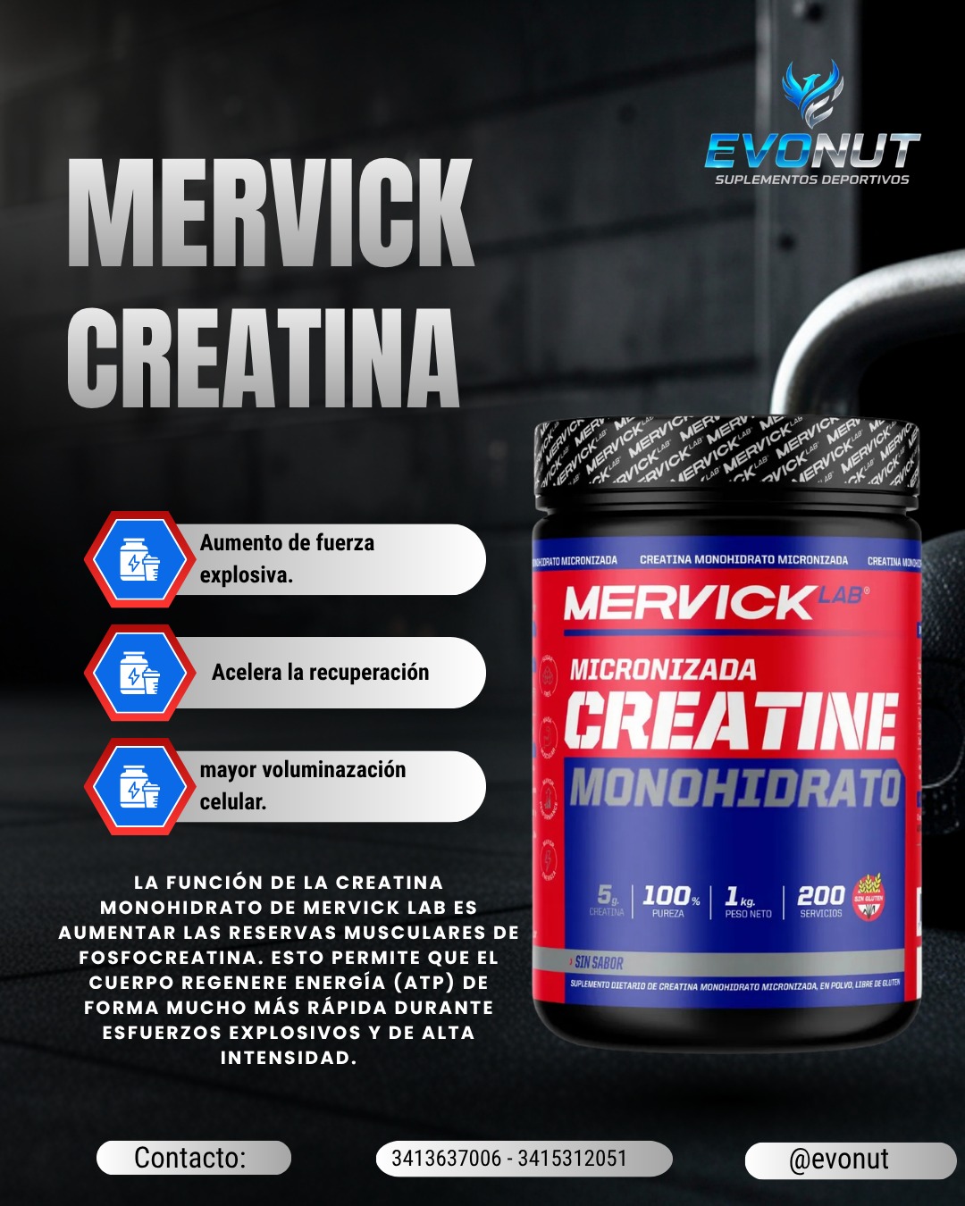 Mervick 2