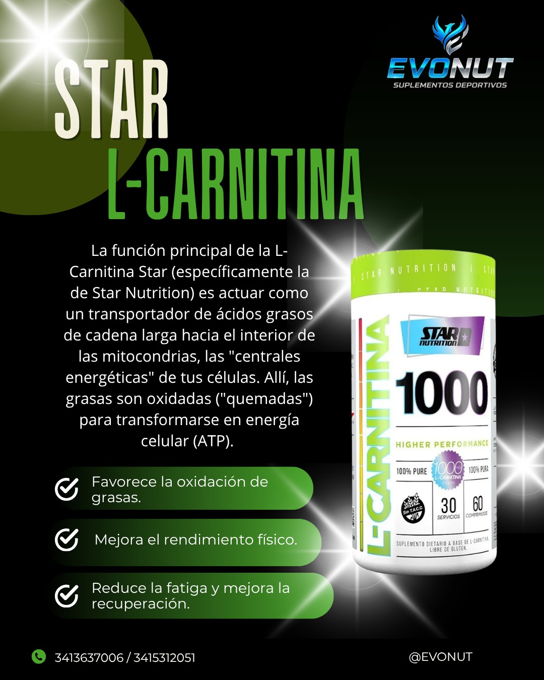 Star 23