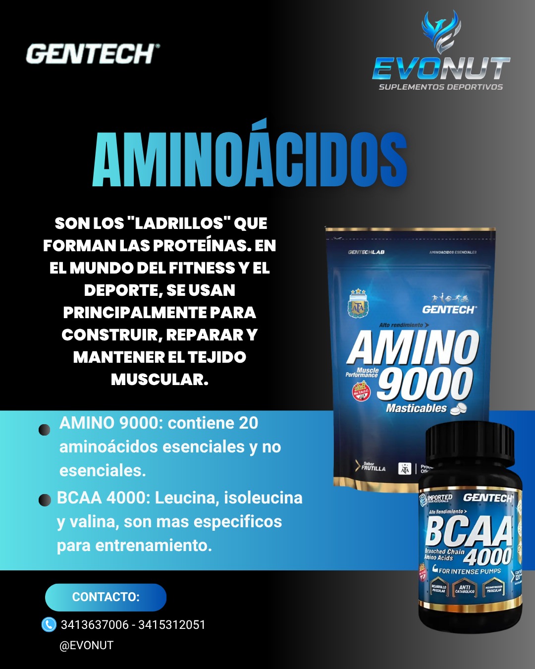 Aminoácidos 2