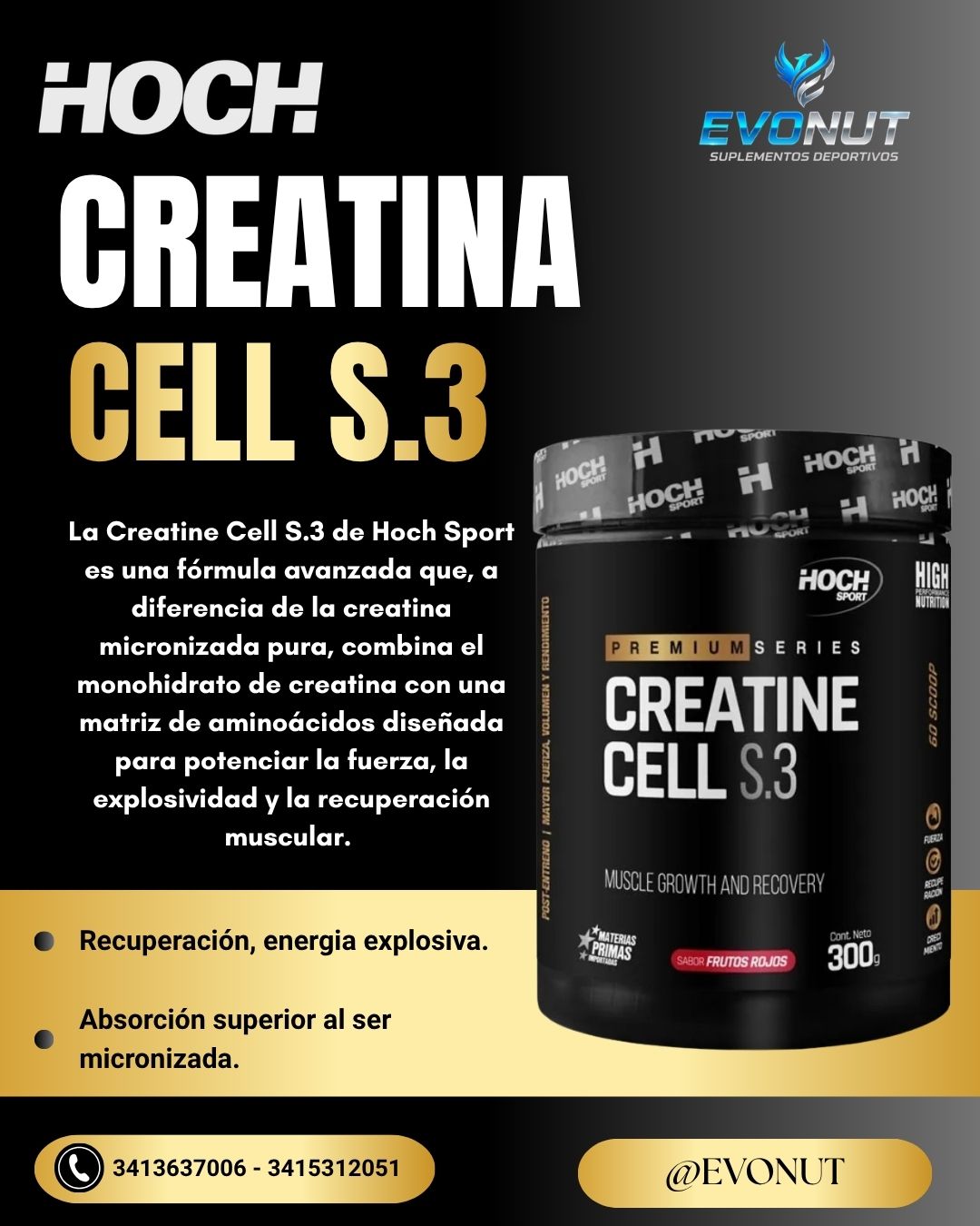 Creatinas 2